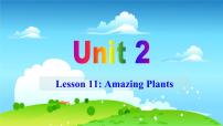 初中英语冀教版八年级下册Unit 2 Plant a PlantLesson 11 Amazing Plants评课ppt课件
