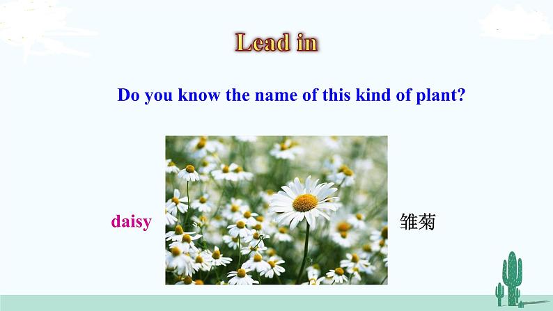 冀教英语八年级下册 Unit 2  Lesson 11 PPT课件+教案04