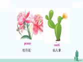 冀教英语八年级下册 Unit 2  Lesson 11 PPT课件+教案