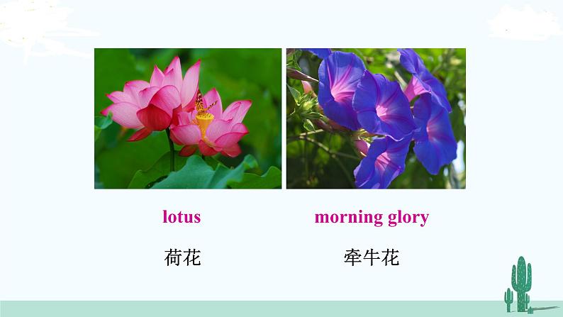 冀教英语八年级下册 Unit 2  Lesson 11 PPT课件+教案06