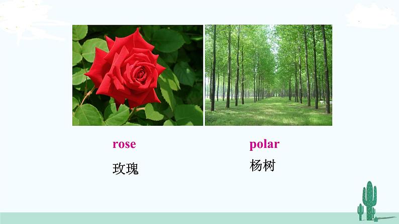 冀教英语八年级下册 Unit 2  Lesson 11 PPT课件+教案07