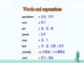 冀教英語八年級下冊 Unit 2  Lesson 12 PPT課件+教案