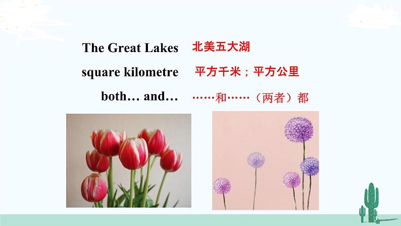 冀教英语八年级下册 Unit 7   Lesson 42 PPT课件+教案06