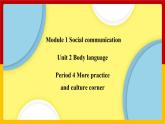 Unit 2 Period 4 More practice and culture corner（課件+教案+學(xué)案+練習(xí)）