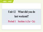 人教版七年级下册英语 Unit12 Period 1 Section A (1a－2c) 习题课件