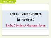 人教版七年级下册英语 Unit12 Period 3 Section A Grammar Focus 习题课件