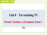 鲁教五四版六年级下册英语 Unit8 Period 2 Section A (Grammar Focus－3c) 习题课件