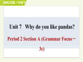 鲁教五四版六年级下册英语 Unit7 Period 2 Section A (Grammar Focus－3c) 习题课件