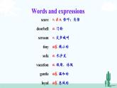 冀教英语八年级下册 Unit 3   Lesson 13 PPT课件+教案