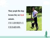 冀教英语八年级下册 Unit 3   Lesson 13 PPT课件+教案