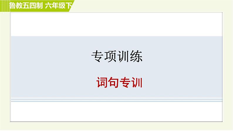 鲁教五四版六年级下册英语 专项训练之词句专训 习题课件01