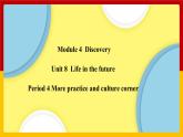 Unit 8 Period 4 More practice and culture corner（课件+教案+学案+练习）