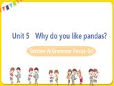 人教初中英语七年级下册——Unit 5 SectionA (Grammer Focus-3c)课件PPT