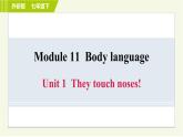 外研版七年级下册英语 Module11 Unit 1 They touch noses! 习题课件