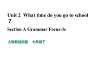 初中英语人教新目标 (Go for it) 版七年级下册Section A教课内容ppt课件