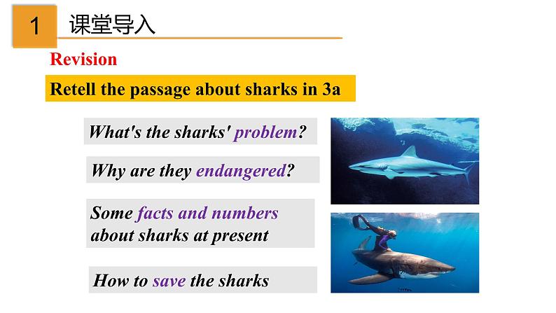 人教新目标九年级英语下册-- Unit 13 Section A（Grammar focus-4c)课件02