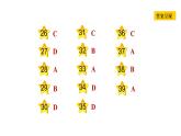冀教版七年级下册英语 Unit6 Lesson 33　Kim's Favourite Season 习题课件