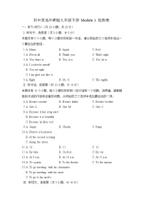 初中英语外研版 (新标准)九年级下册Module 1 Travel综合与测试巩固练习