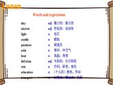 初中英语外研版九年级下册——Module 3 Unit 2【课件+教案】