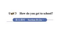 初中英语人教新目标 (Go for it) 版七年级下册Unit 3 How do you get to school?Section B图片ppt课件