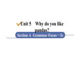人教版七年级英语下册 unit 5 第3课时　Section A (Grammar Focus－3c) 课件