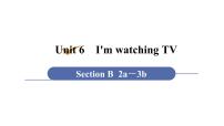 2020-2021学年Section B课堂教学ppt课件