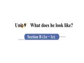 人教版七年级英语下册 unit 9 第4课时　Section B (1a－1e) 课件