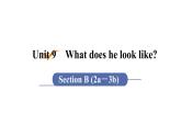 人教版七年级英语下册 unit 9 第5课时　Section B (2a－3b) 课件