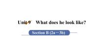 人教新目标 (Go for it) 版七年级下册Unit 9 What does he look like?Section B教课ppt课件