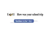 人教版七年级英语下册 unit 11 第1课时　Section A (1a－1c) 课件