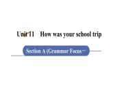 人教版七年级英语下册 unit 11 第3课时　Section A (Grammar Focus－3b) 课件