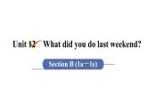 人教版七年级英语下册 unit 12 第4课时　Section B (1a－1e) 课件