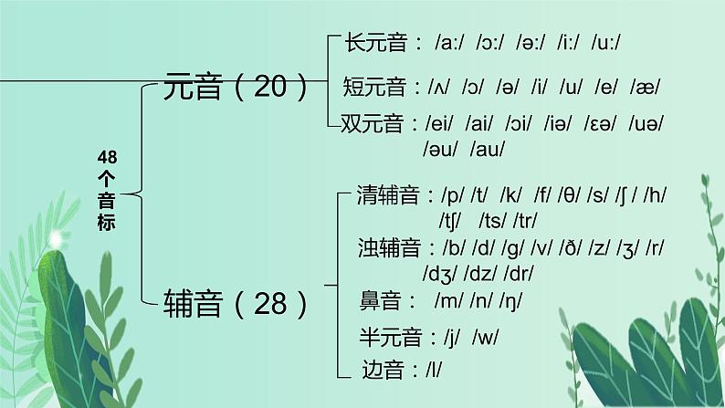 初中英语自然拼读课件04