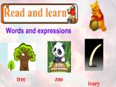 Unit 5 Section B (2a-2c) 否定形式的一般疑问句 课件-2021-2022学年人教版英语七年级下册