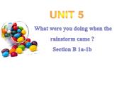 Unit 5 Section B 1a-1b  2c - 3b 课件-2021-2022学年人教版英语八年级下册