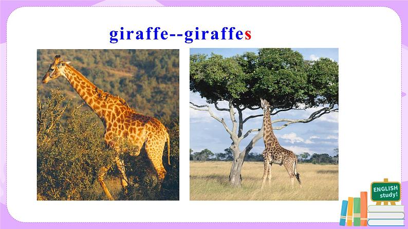 Unit 5 Section A  1a-2d课件+教案+练习+音频 人教版英语七年级下册08