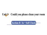 人教版八年级英语下册 unit 3 第6课时　Section B (3a－Self check) 课件