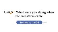 2021学年Unit 5 What were you doing when the rainstorm came?Section A教课内容ppt课件