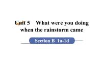 人教新目标 (Go for it) 版八年级下册Unit 5 What were you doing when the rainstorm came?Section B评课课件ppt