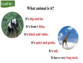 人教新目标七年级英语下册课件--Unit 5 Why do you like pandas_ Section A Grammar Focus-3c课件+ 视频