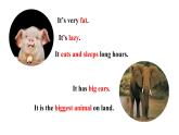 人教新目标七年级英语下册课件--Unit 5 Why do you like pandas_ Section A Grammar Focus-3c课件+ 视频