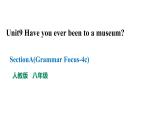 人教新目标八年级英语下册----Unit9 Section A ( Grammar Focus-4c)课件PPT