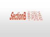 八年级下册Unit 2 Section B单词讲解课件