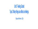Unit5Topic3SectionD课件仁爱版英语八年级下册