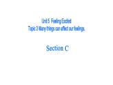 Unit5Topic3SectionC课件仁爱版英语八年级下册