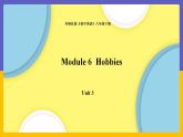 Module 6  Hobbies Unit 3（课件+教案+练习+学案）