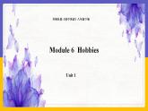 Module 6  Hobbies Unit 1（课件+教案+练习+学案）