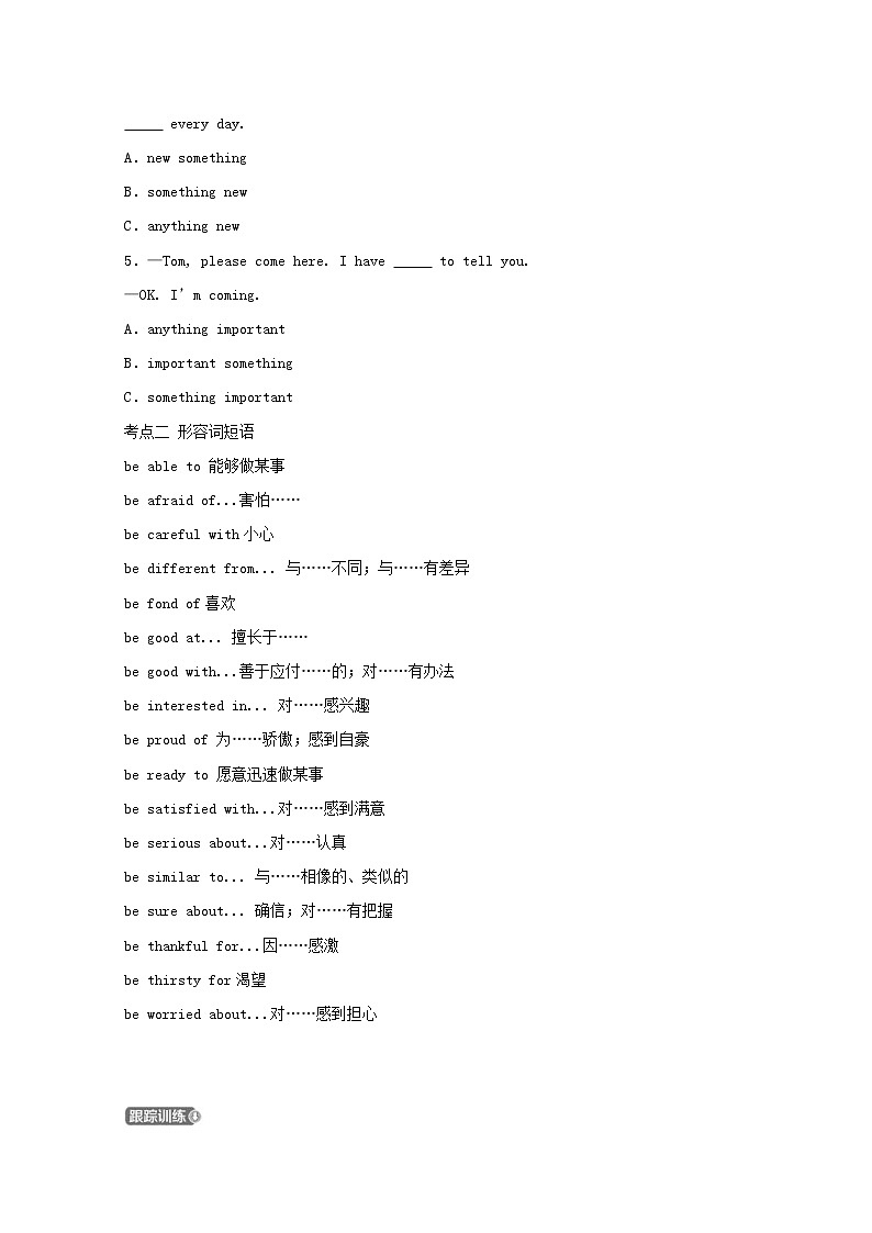 （通用版）中考英语二轮语法专项复习《形容词》考点剖析 (含答案)第2页
