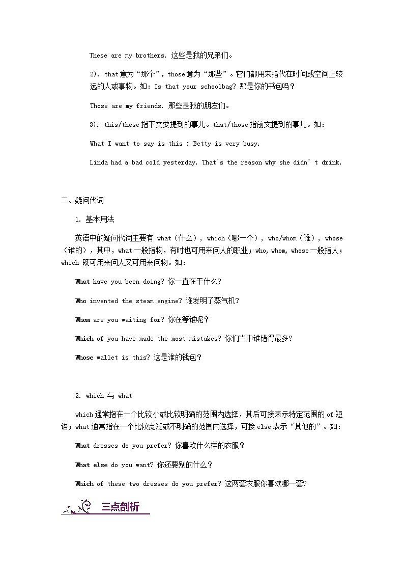 中考英语二轮复习专题讲与练： 指示、疑问代词（含详解）第2页