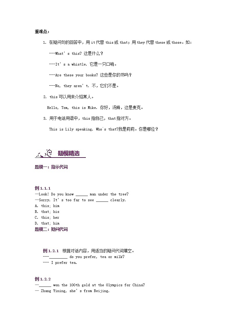 中考英语二轮复习专题讲与练： 指示、疑问代词（含详解）第3页